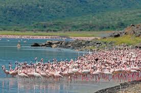 sterling travel tours and safaris