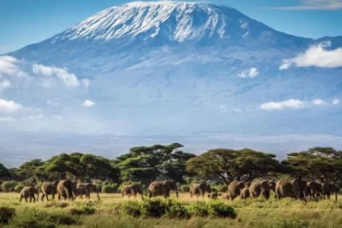 mt kilimanjaro safaris