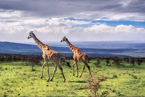 tanzania camping serengeti