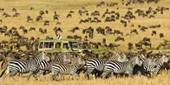 sterling travel tours and safaris - why us
