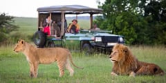 sterling travel tours and safaris - why us