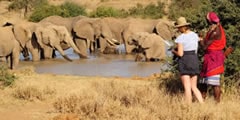 sterling travel tours and safaris